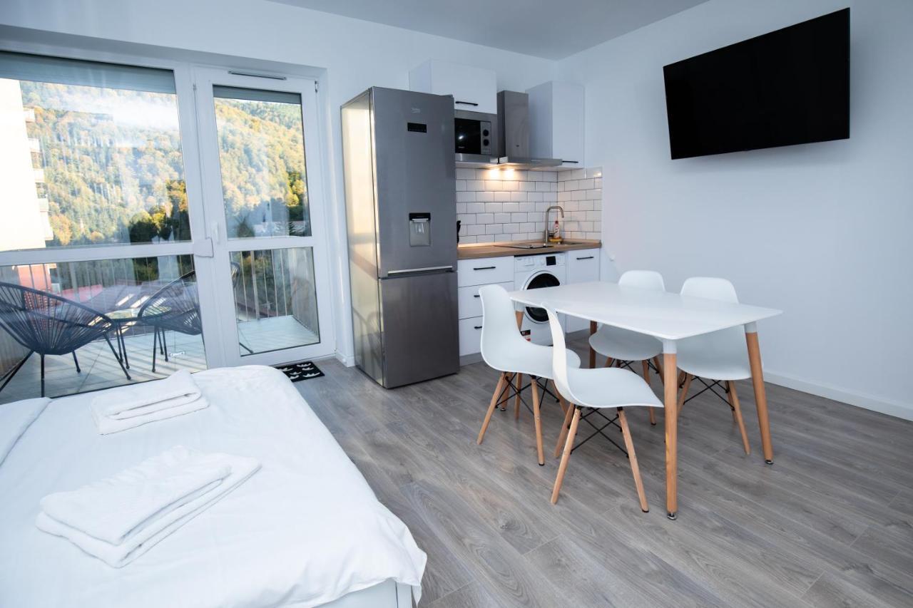 Cozy Studio 4 People With Parking Sinaia Exteriér fotografie