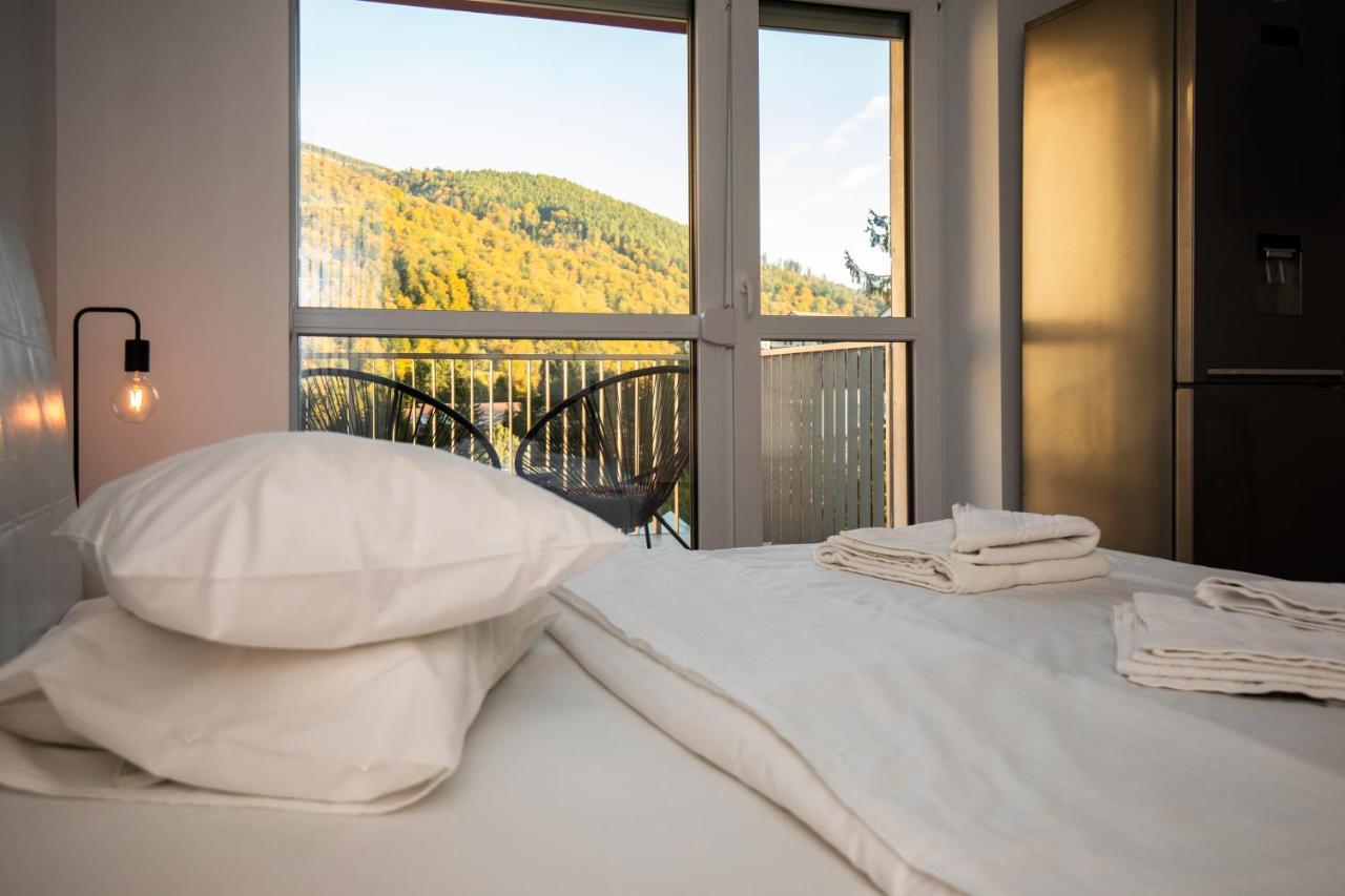 Cozy Studio 4 People With Parking Sinaia Exteriér fotografie