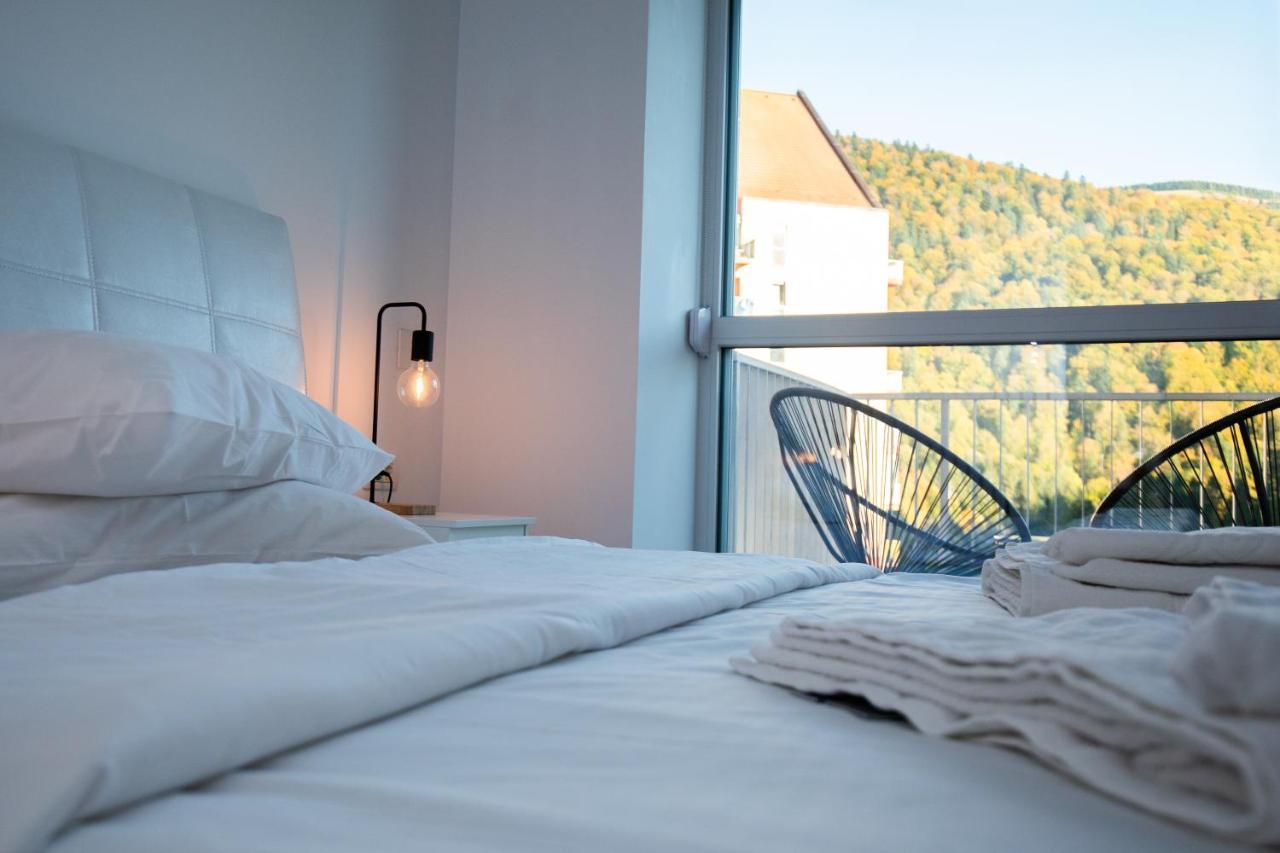 Cozy Studio 4 People With Parking Sinaia Exteriér fotografie