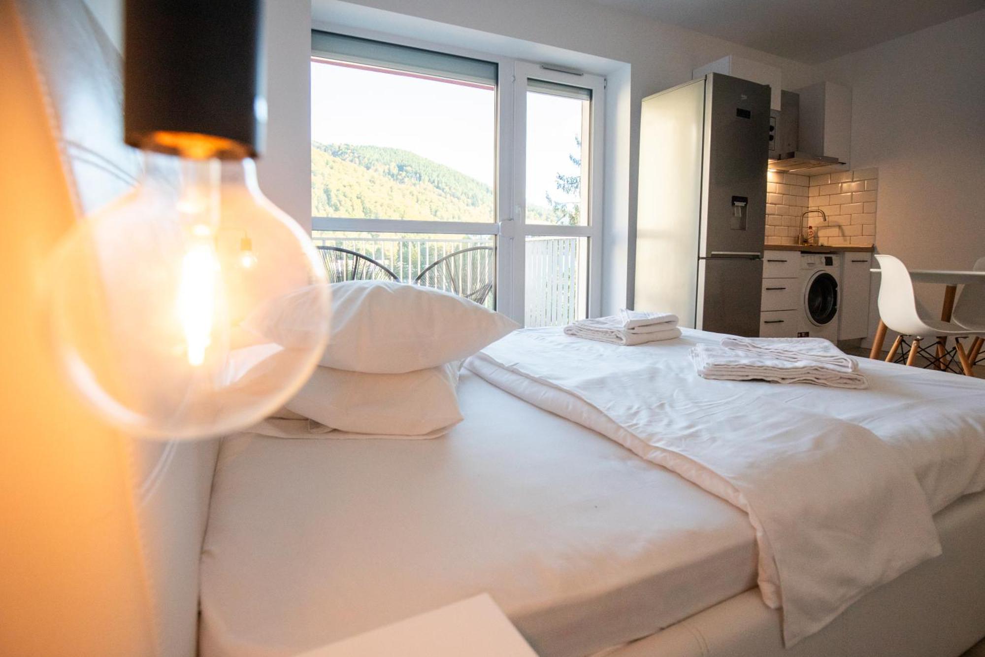 Cozy Studio 4 People With Parking Sinaia Exteriér fotografie